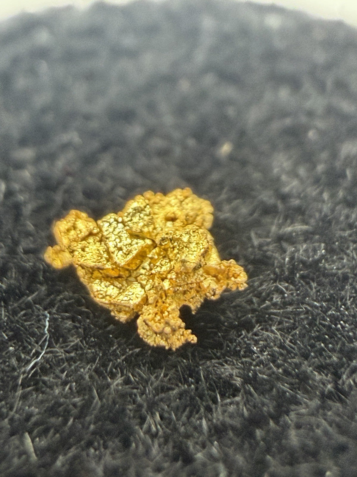 💥Beautiful Crystalline Specimen Gold Nugget From Baker County Oregon 0.09g 💥