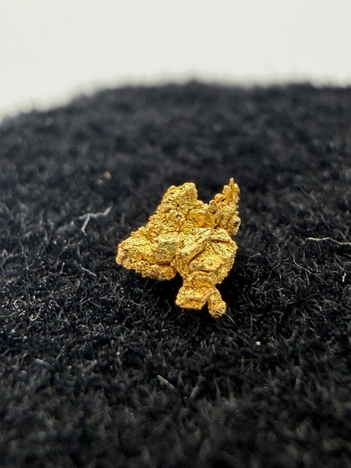 💥Beautiful Crystalline Specimen Gold Nugget From Baker County Oregon 0.09g 💥