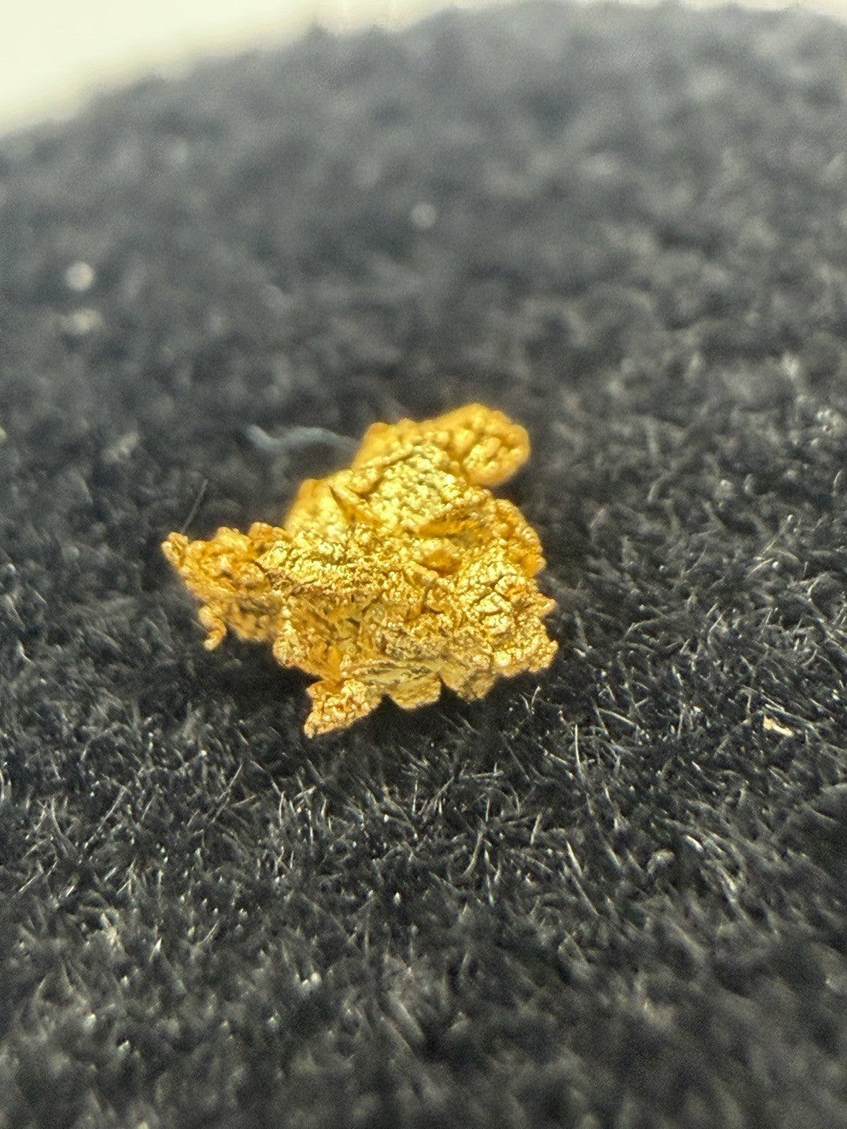 💥Beautiful Crystalline Specimen Gold Nugget From Baker County Oregon 0.09g 💥