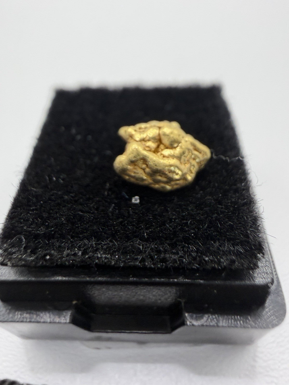 Amazing .506g Premium Gold Nugget 40 Mile Chicken AK! 💥💥🔥🔥