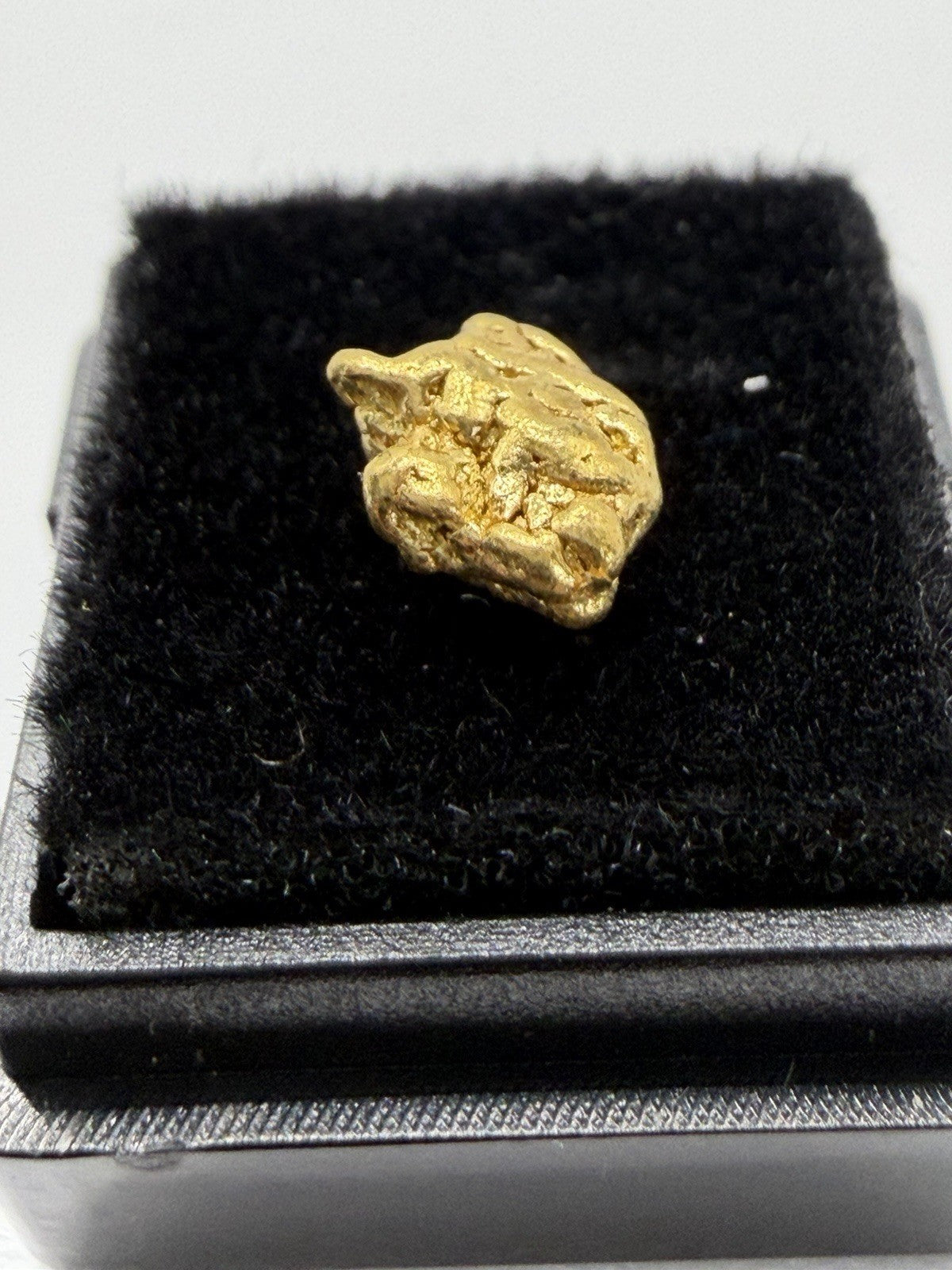 Amazing .506g Premium Gold Nugget 40 Mile Chicken AK! 💥💥🔥🔥