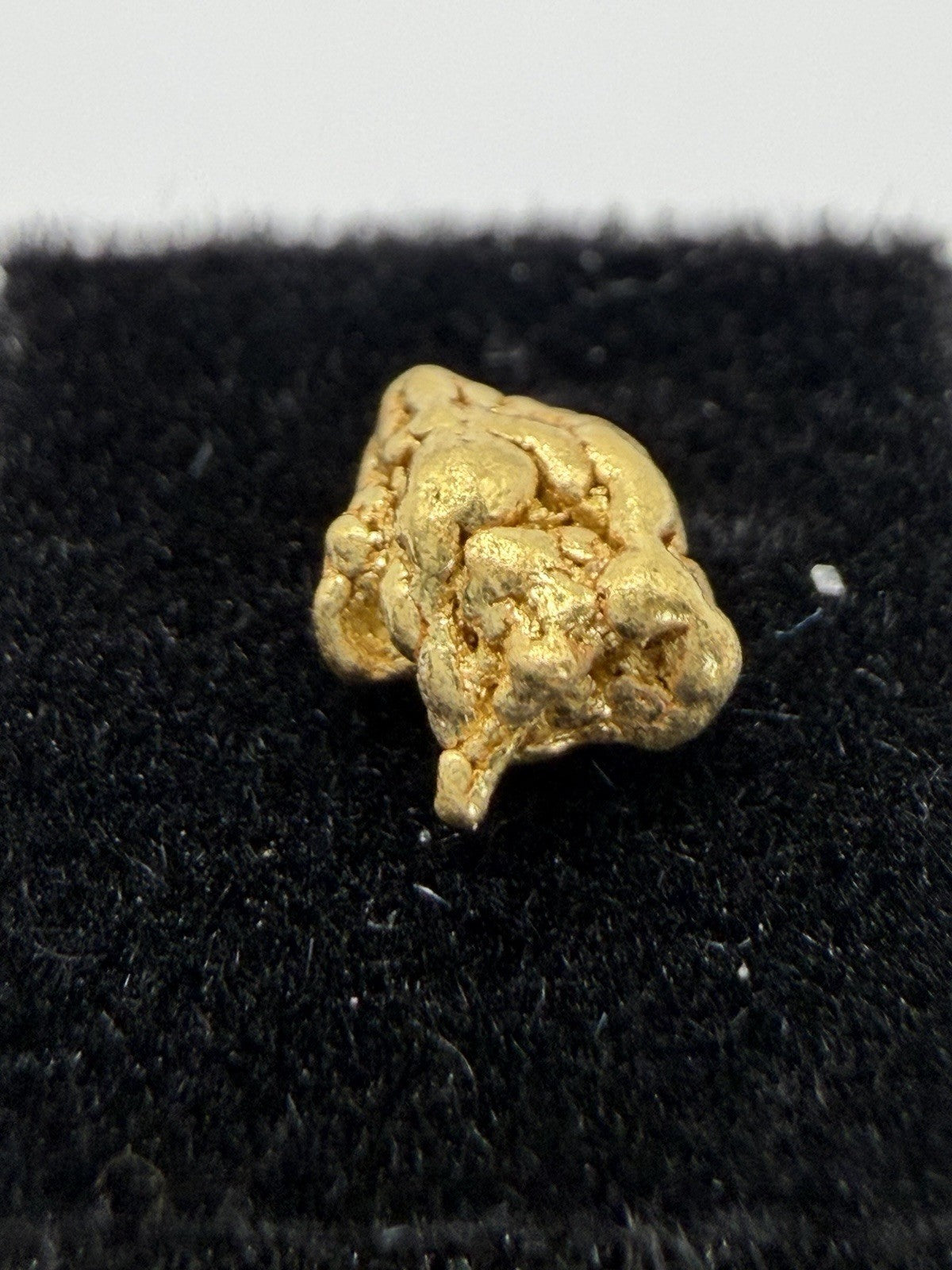 Amazing .506g Premium Gold Nugget 40 Mile Chicken AK! 💥💥🔥🔥
