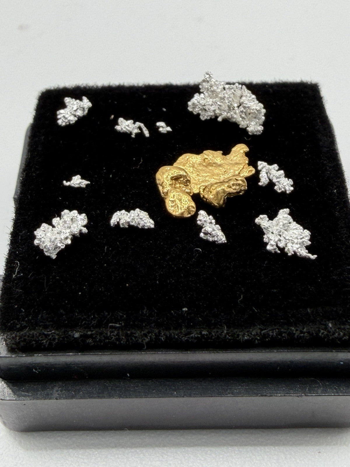 Stunning .249 Ak Klondike Gold W/crystalized Silver 1