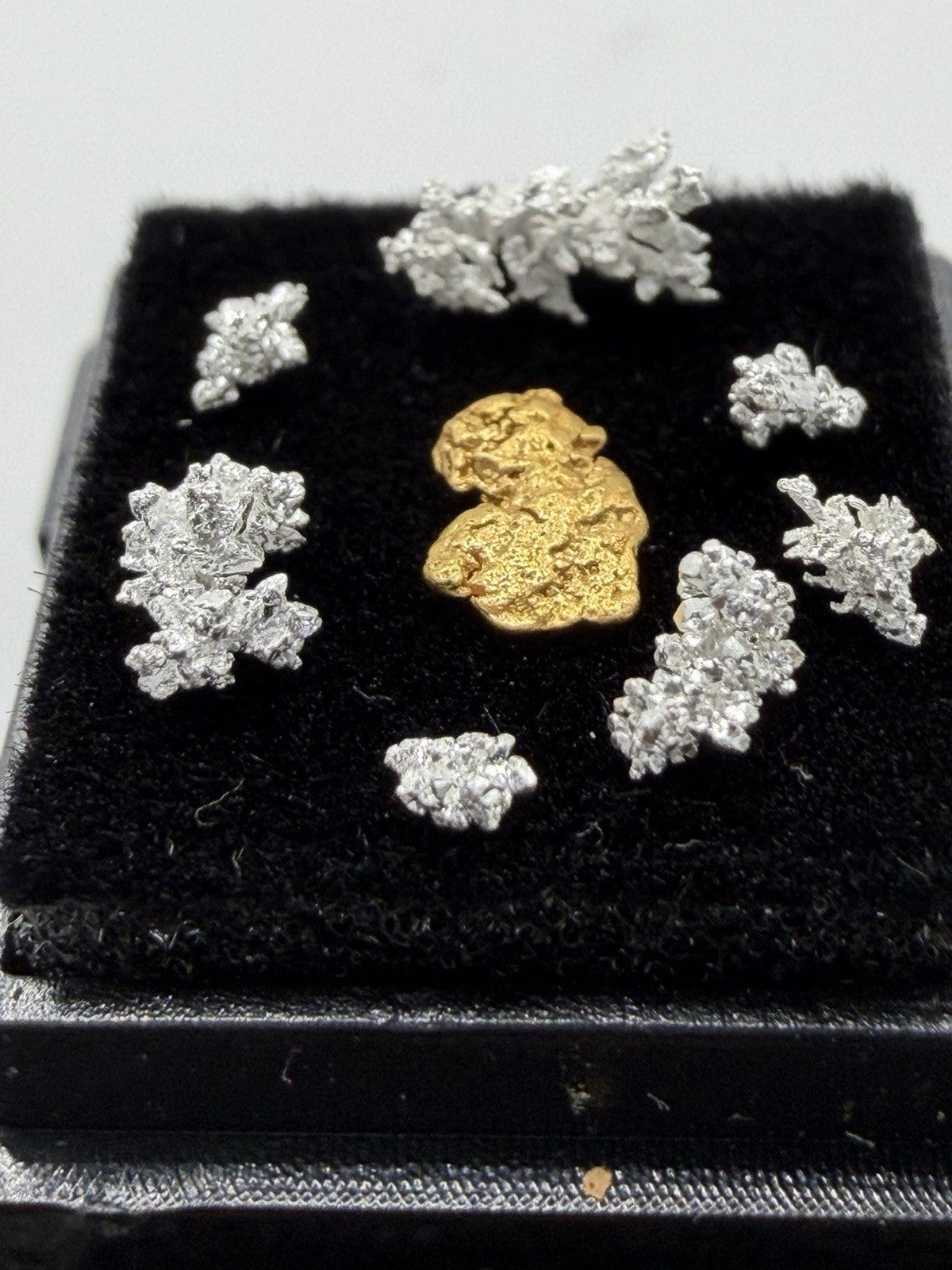 Stunning .069g Nevada Gold W/crystalized Silver 1