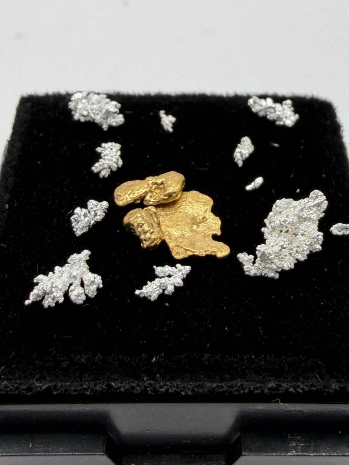 Stunning .249 Ak Klondike Gold W/crystalized Silver 0