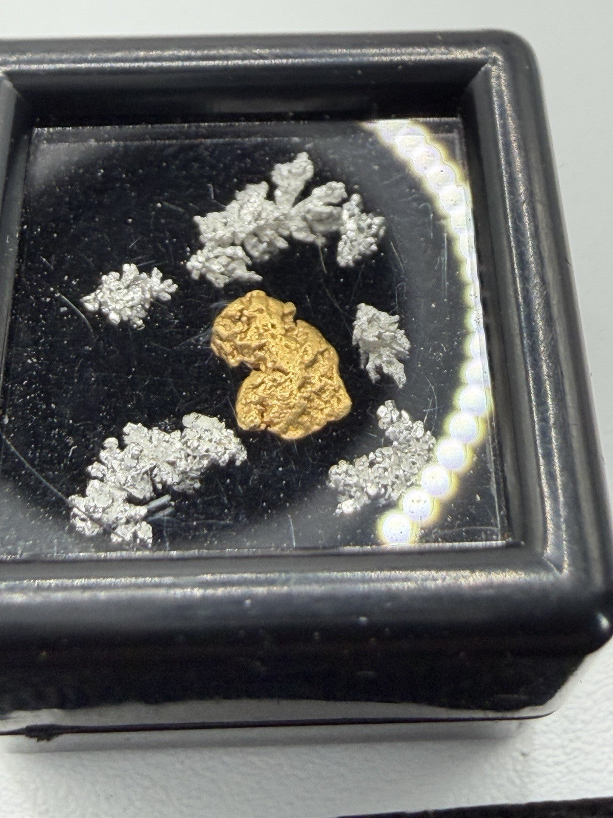 Stunning .069g Nevada Gold W/crystalized Silver 3