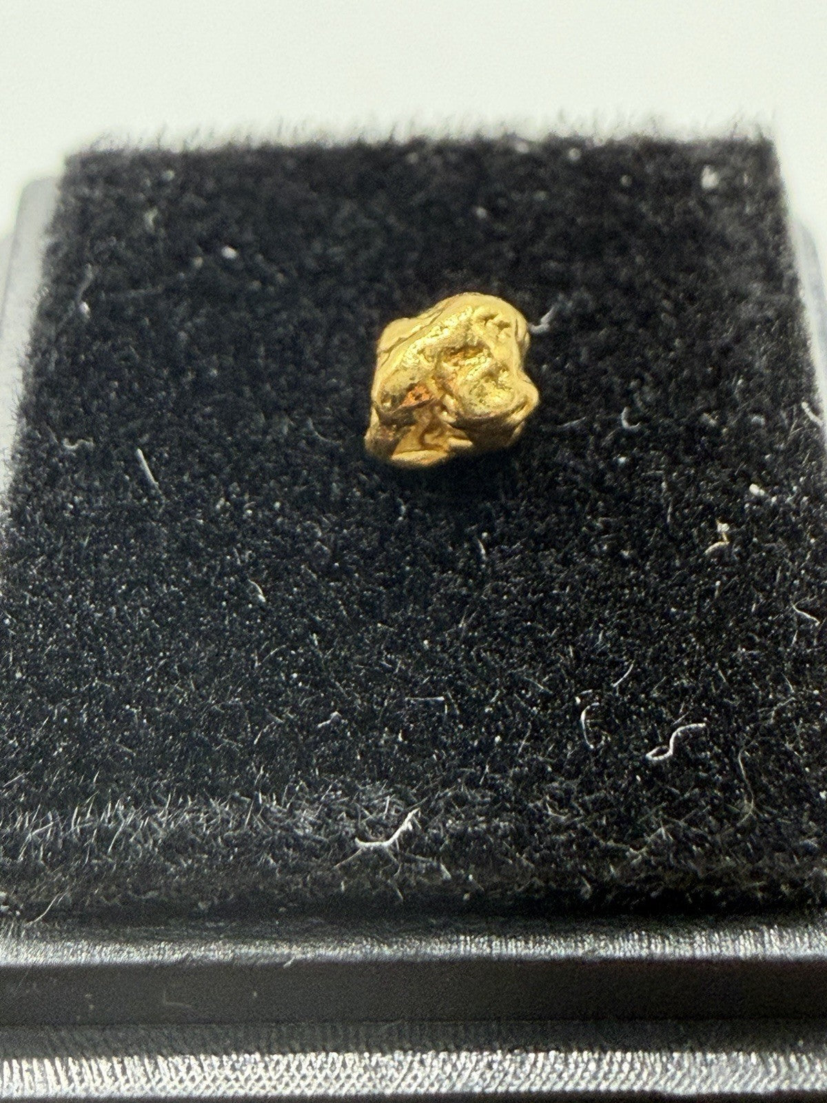 Natural Alaskan Klondike Gold Nugget 0.179g Placer Gold    1