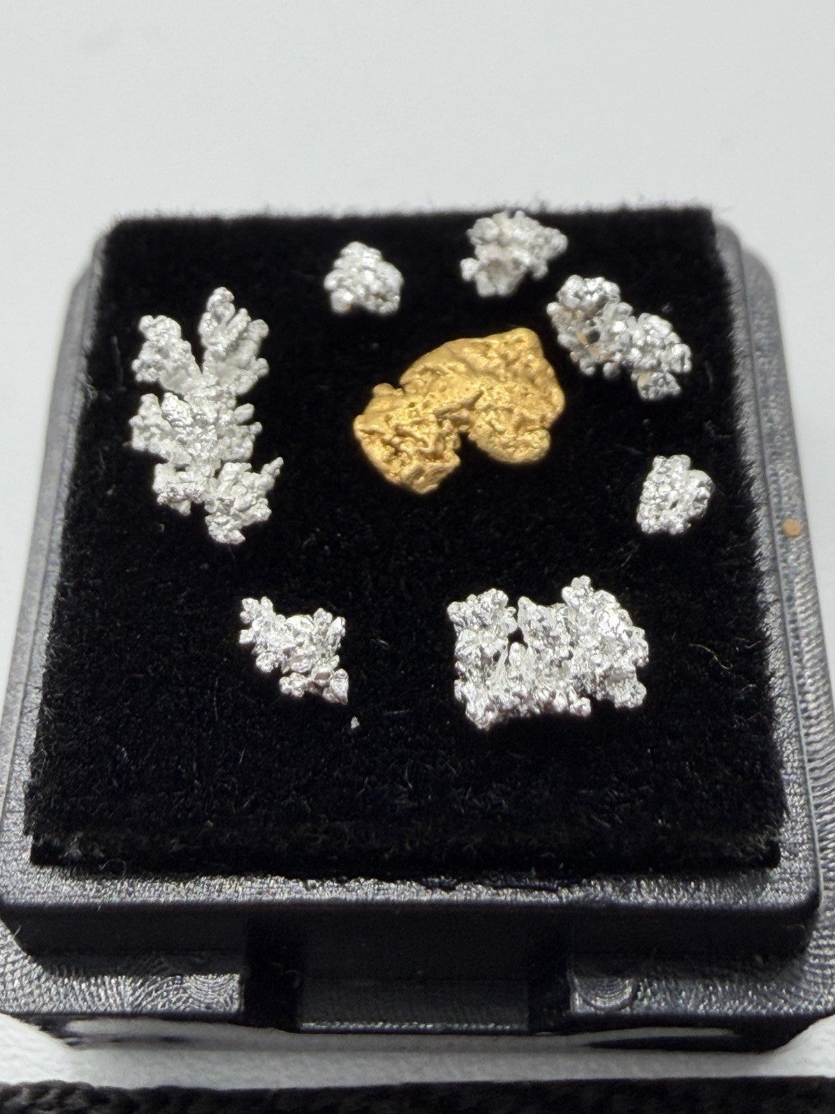 Stunning .069g Nevada Gold W/crystalized Silver 2