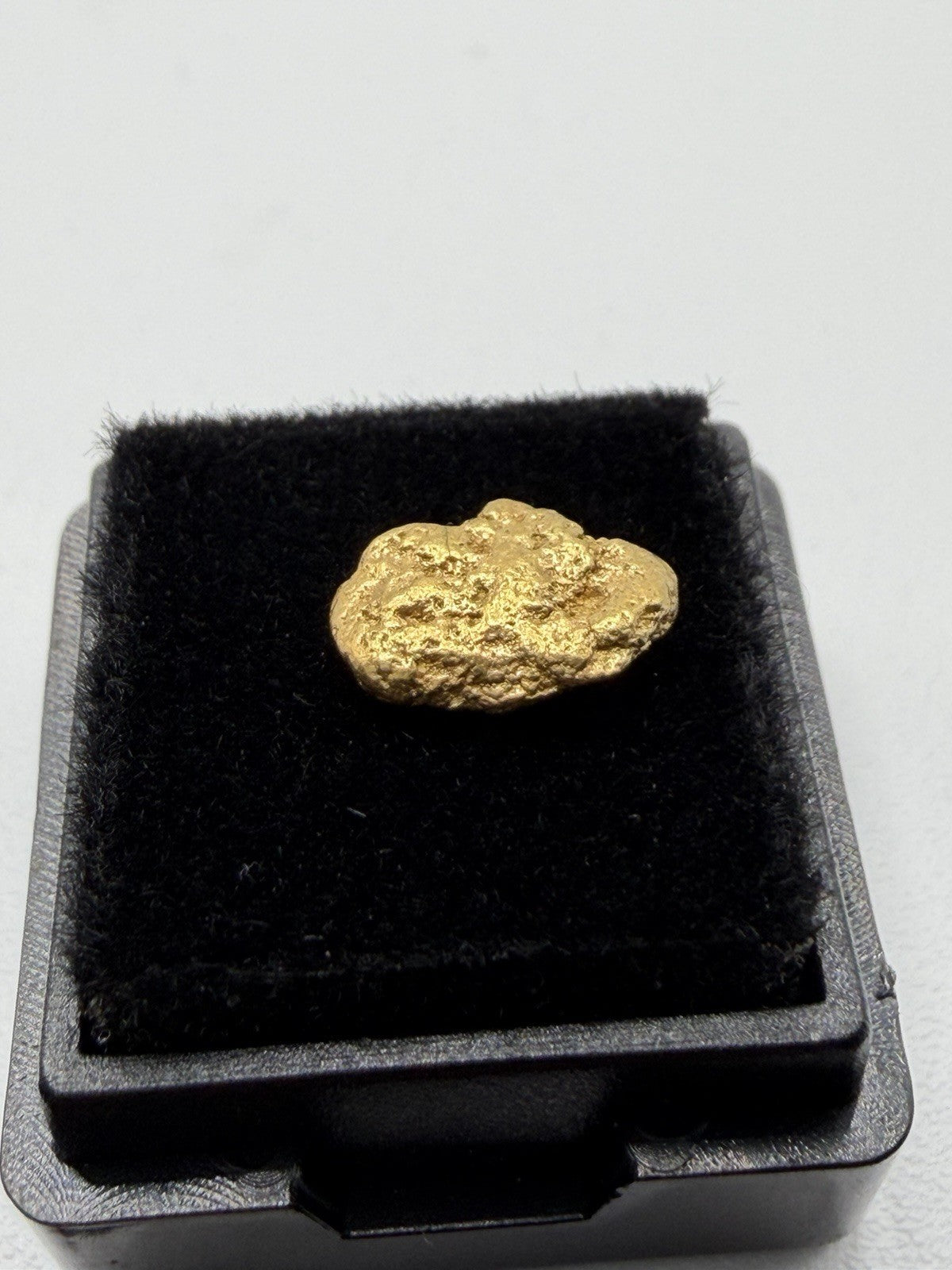 48554204