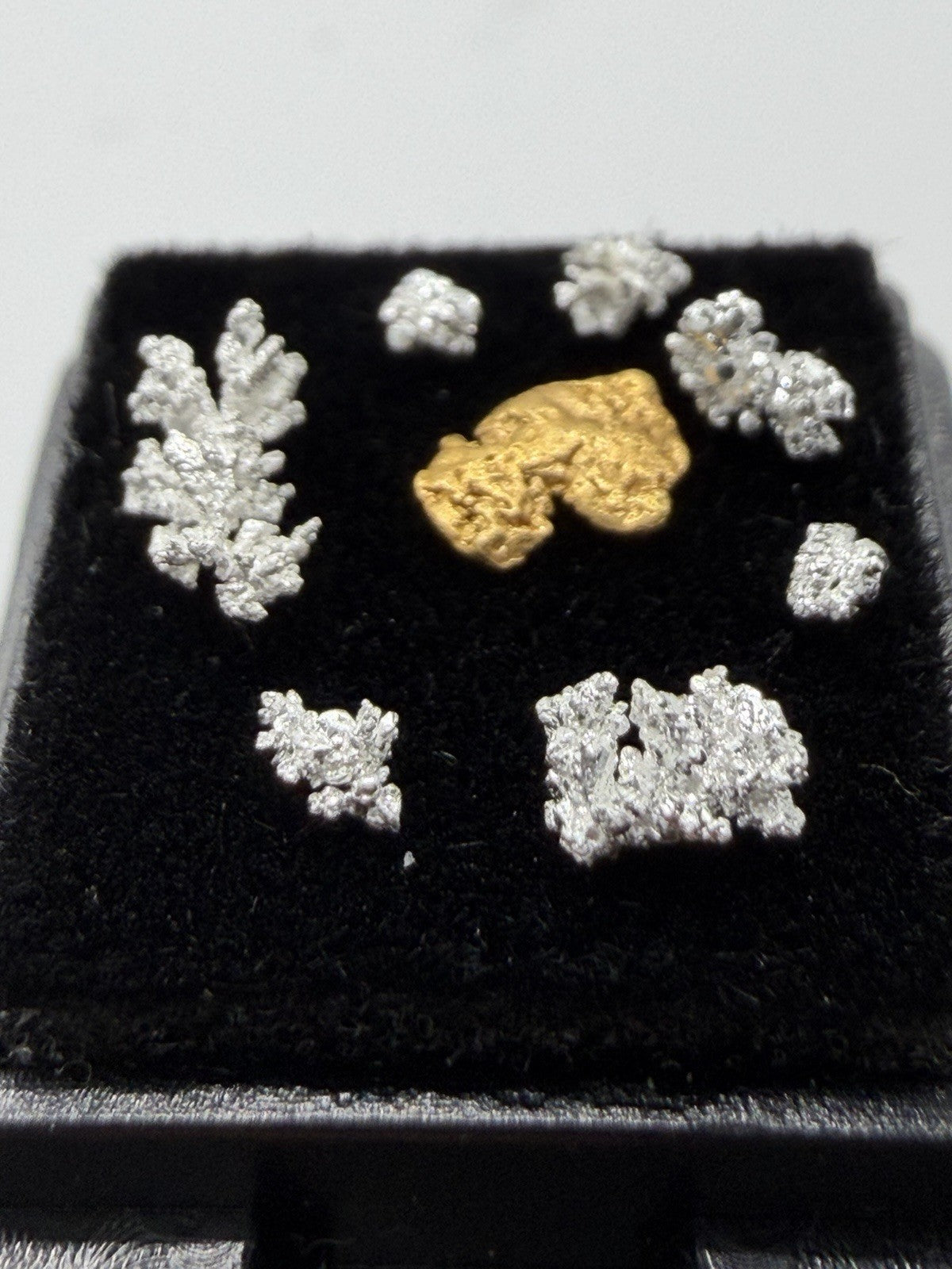 Stunning .069g Nevada Gold W/crystalized Silver 0